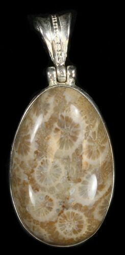 Million Year Old Fossil Coral Pendant #38107